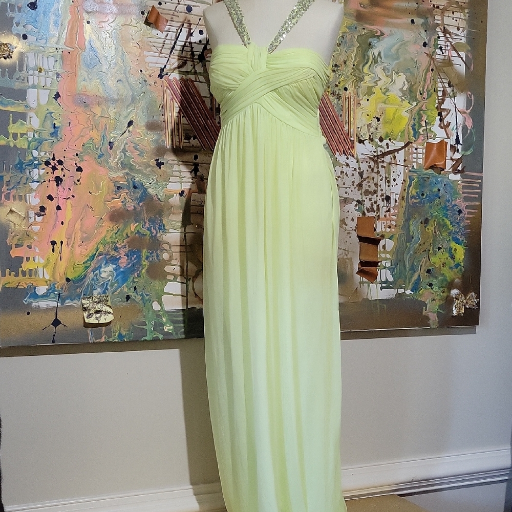 Elegant Lime Green Evening Dress